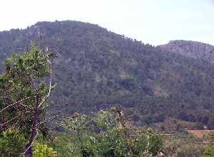 Vistas de la sierra