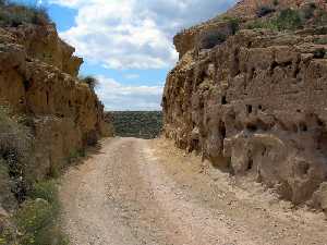 Camino de acceso a las calas