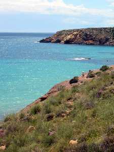 Vista de vegetacin autctona, el mar y las calas