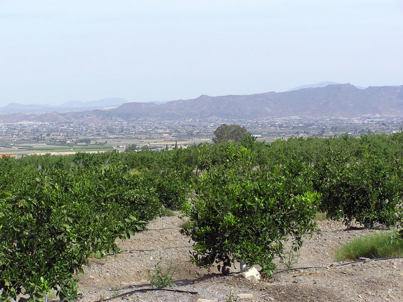 Vista de Aguaderas al fondo[Aguaderas]. 