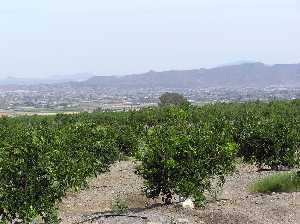 Vista de Aguaderas al fondo