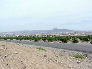 Vista de los campos de Aguaderas al fondo