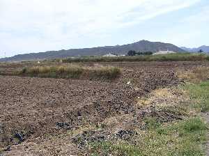 Eriales y al fondo la Almenara