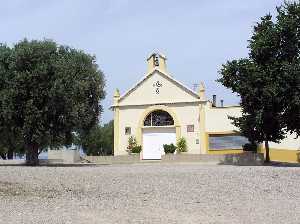 Ermita del Sacristn entre algarrobos