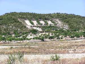 Almendros