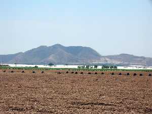 Vista del Cabezo Gordo