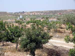 Vista de Paraleja Golf