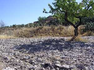 Finca con antiguo casero