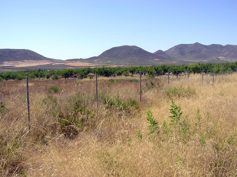 Puerto Adentro y la Sierra de Enmedio[Puerto Adentro]. 