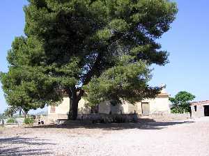 Antigua casa en Mort de Abajo