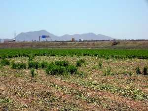 Campos y autopista al fondo