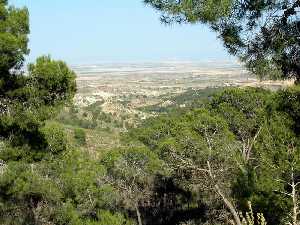 Corvera desde la Naveta