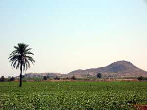 Vista de El Carmol (Lentiscar) 