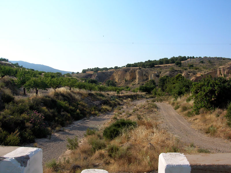 Rambla de La Murta[Carrascoy]. 