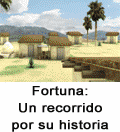 Fortuna virtual