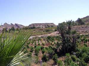 Vista de los huertos de Nuestra Sra. de la Asuncin