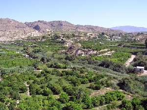 Panormica de Villanueva del Ro Segura 