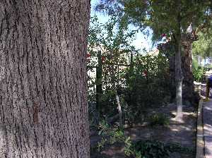 Detalle de los jardines pblicos