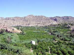 Panormica de la huerta de Ulea [Nuestra Sra. de la Asuncin]