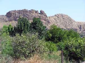 Sierra de la Espada