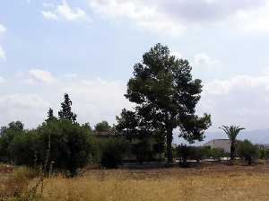 Casas solariegas en El Puntarrn