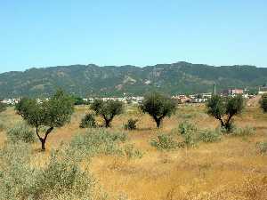 El Valle de Carrascoy desde San Gins