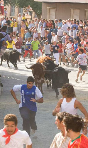 Encierros de Calasparra