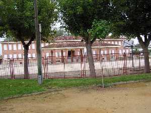 Colegio Pblico de La Arboleja 