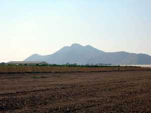 Campo y Cabezo Gordo al fondo 