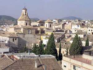 Cipreses de las Carmelitas de Caravaca, los ms antiguos de Espaa