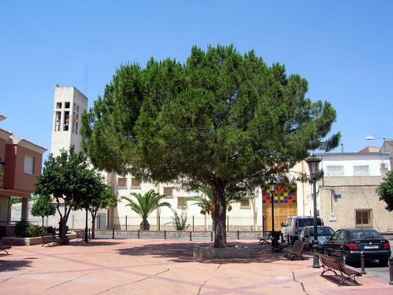 Vista general desde la Plaza de la Iglesia [Rincn de Beniscornia]. 