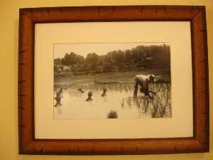 Museo del Arroz de Calasparra