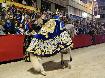 Caballer�a de las Sib�las