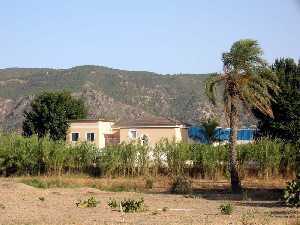 Caas en torno a acequia Alguazas 