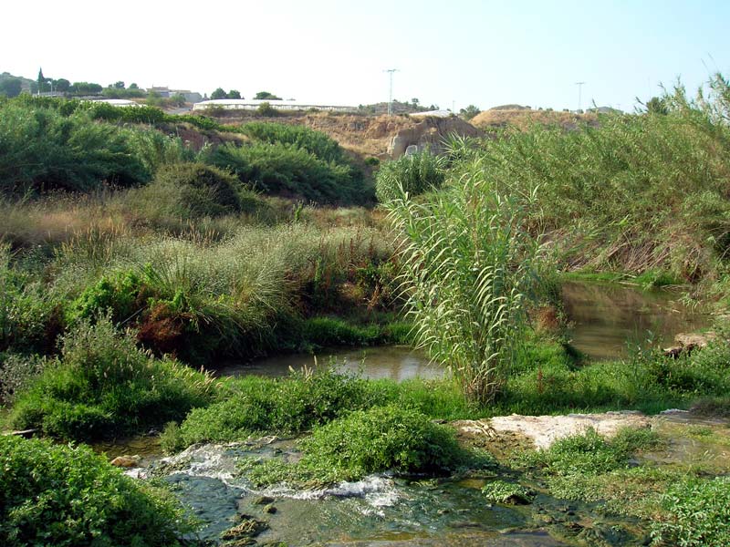 Ro Argos [Campillo de los Jimnez]. 