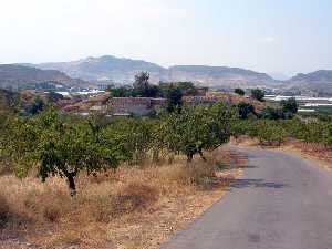 Almendros y entrada al pueblo 