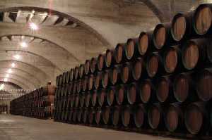 Bodegas de vino