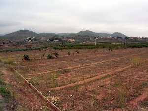 Sierras al norte de Begastri 