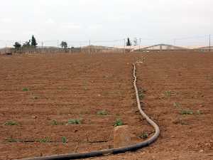 Tierras en cultivo e invernaderos 