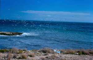 Vistas de Calnegre