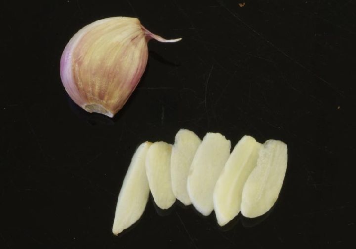 Ajo Historia y distribución Región de Murcia Digital