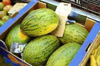 Melón