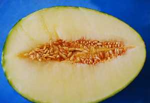 Sección de un melón donde se observa su pulpa comestible y las semillas interiores 
