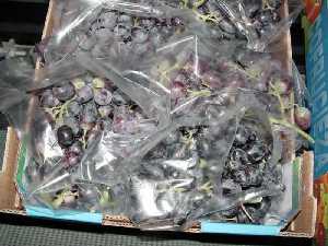 Envasado para conservacin de la uva de mesa destinada a exportacin 