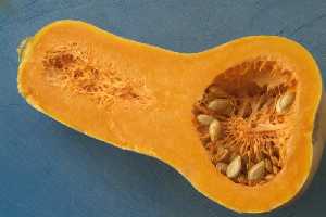 Seccin de calabaza con pulpa y pepitas interiores, ambas comestibles 