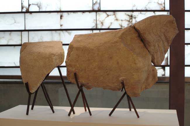 Escultura de un caballo del Museo Arqueológico Jerónimo Molina