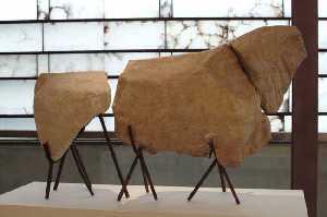 Escultura de un caballo del Museo Arqueológico Jerónimo Molina
