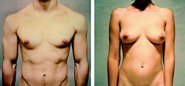 Fotografa y cuerpo. 