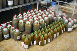 Aceite de oliva envasado