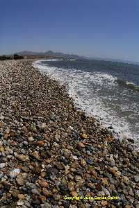 Figura 16. Playa Puntas de Calnegre, con abundantes cantos en parte de su superficie